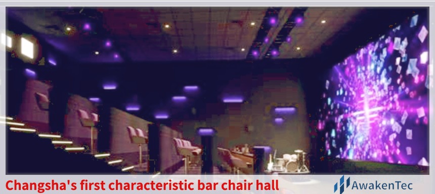 The case of the swing gate installed in the cinema